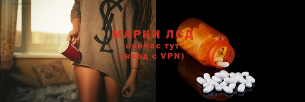 ГАЛЛЮЦИНОГЕННЫЕ ГРИБЫ Надым