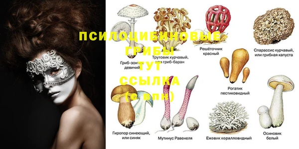 каннабис Михайловск