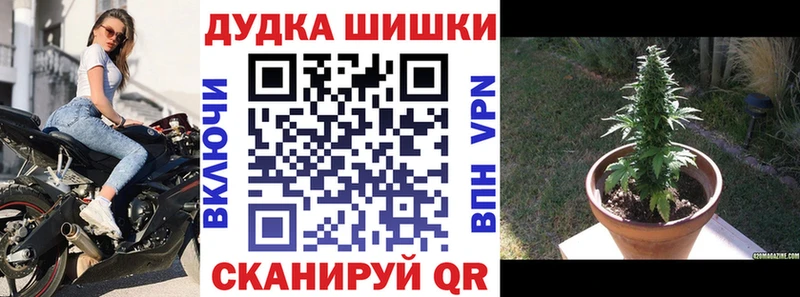 Бошки марихуана OG Kush  Навашино 